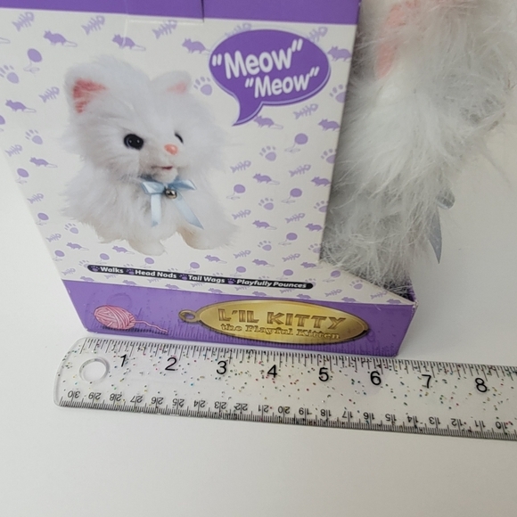 Lil kitty playful cat - Picture 6 of 7